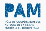 logo-pam-21161-307
