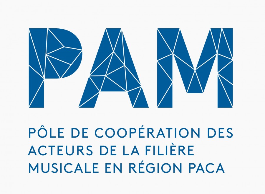 logo-pam-21161-307