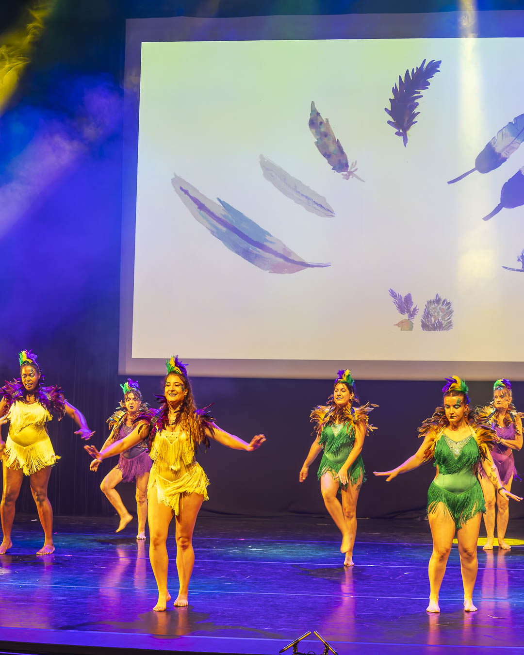 Danses brésiliennes et métissées