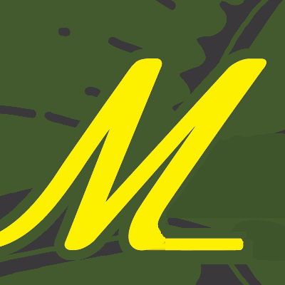 Logo partenaire 4